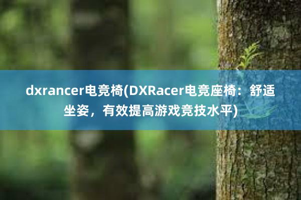 dxrancer电竞椅(DXRacer电竞座椅：舒适坐姿，有效提高游戏竞技水平)