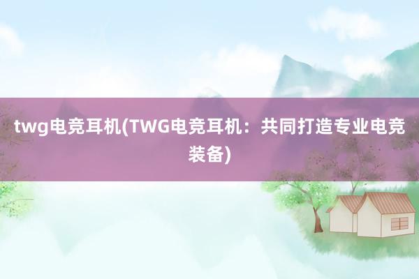 twg电竞耳机(TWG电竞耳机：共同打造专业电竞装备)