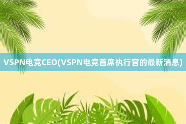 VSPN电竞CEO(VSPN电竞首席执行官的最新消息)