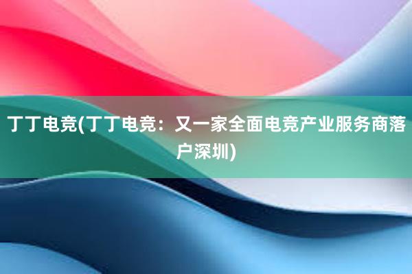 丁丁电竞(丁丁电竞：又一家全面电竞产业服务商落户深圳)