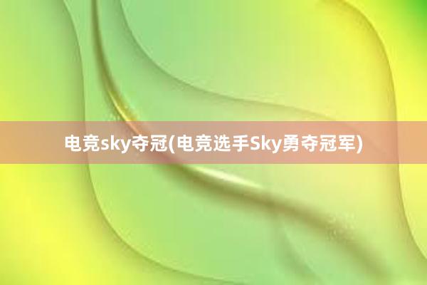 电竞sky夺冠(电竞选手Sky勇夺冠军)