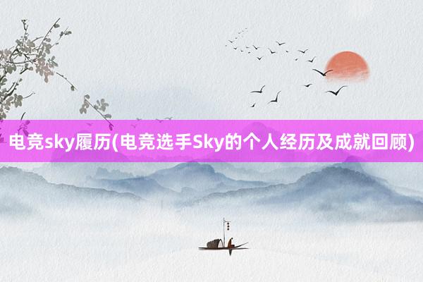 电竞sky履历(电竞选手Sky的个人经历及成就回顾)