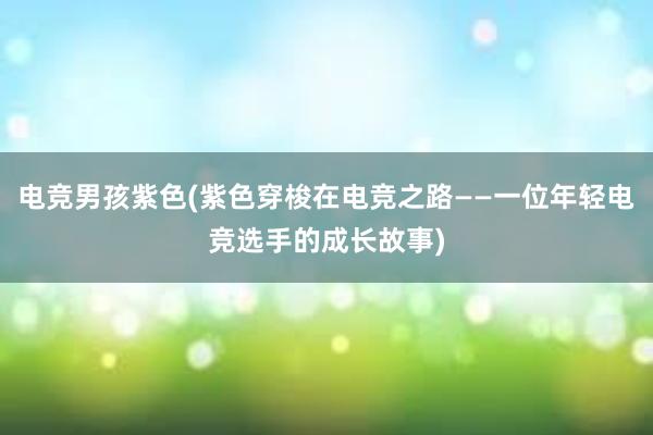 电竞男孩紫色(紫色穿梭在电竞之路——一位年轻电竞选手的成长故事)