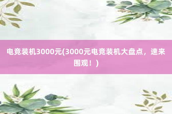 电竞装机3000元(3000元电竞装机大盘点，速来围观！)