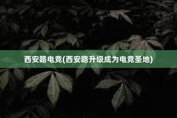 西安路电竞(西安路升级成为电竞圣地)