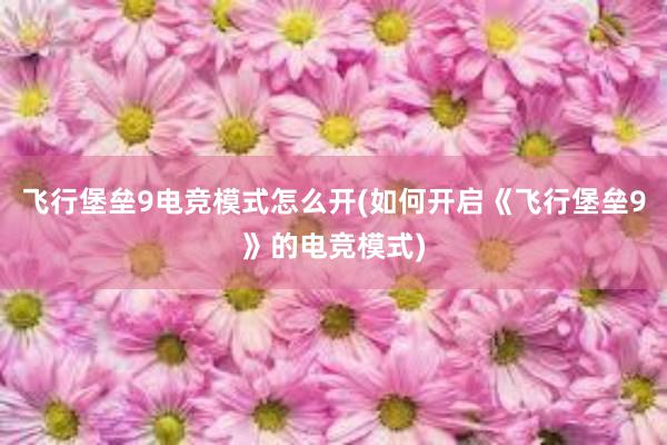 飞行堡垒9电竞模式怎么开(如何开启《飞行堡垒9》的电竞模式)