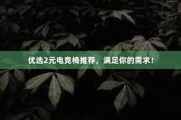 优选2元电竞椅推荐，满足你的需求！