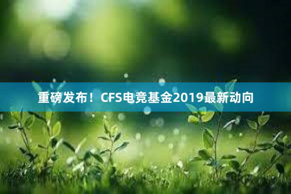 重磅发布！CFS电竞基金2019最新动向