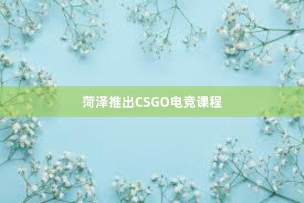 菏泽推出CSGO电竞课程