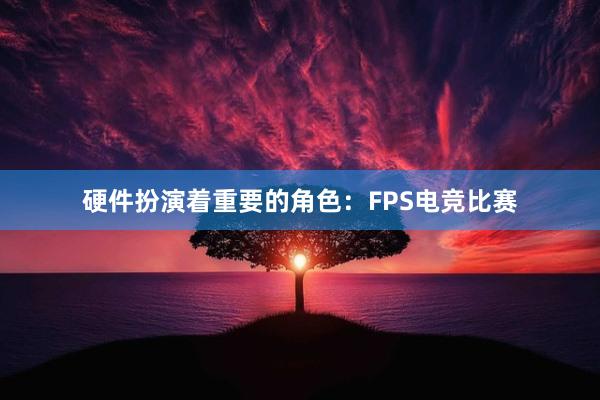 硬件扮演着重要的角色：FPS电竞比赛