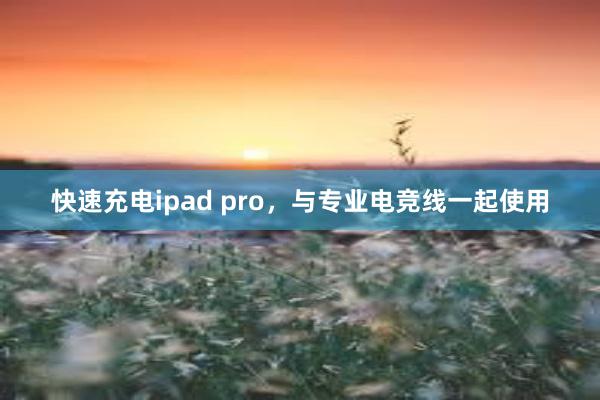 快速充电ipad pro，与专业电竞线一起使用