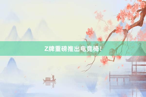 Z牌重磅推出电竞椅！