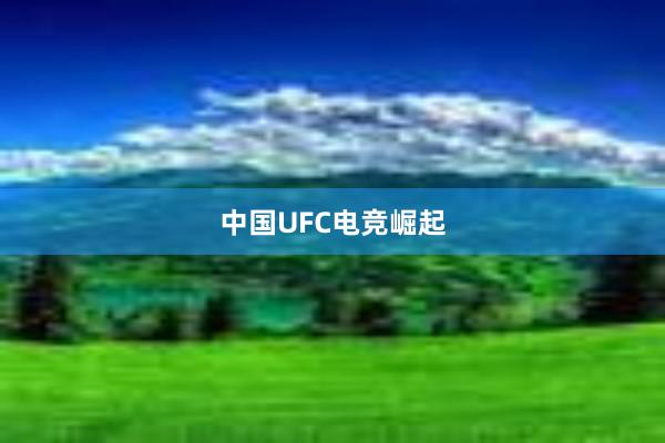 中国UFC电竞崛起