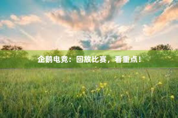 企鹅电竞：回放比赛，看重点！