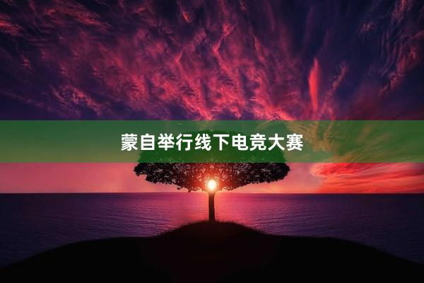 蒙自举行线下电竞大赛