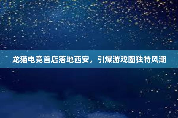 龙猫电竞首店落地西安，引爆游戏圈独特风潮